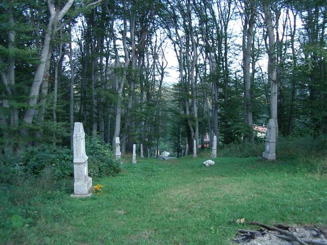 csatka07.jpg