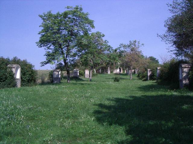 lokut01.jpg