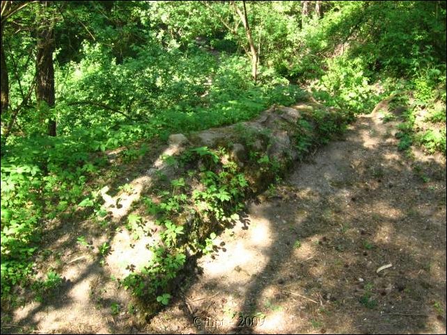 palos_09_05.jpg