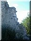 biatorbagy_04_09.jpg