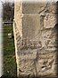 biatorbagy_08_16.jpg