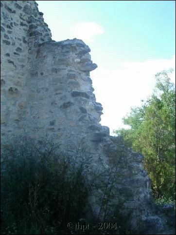 biatorbagy_04_09.jpg