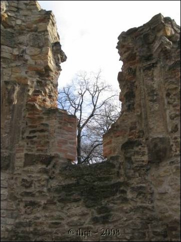 alag_08_22.jpg