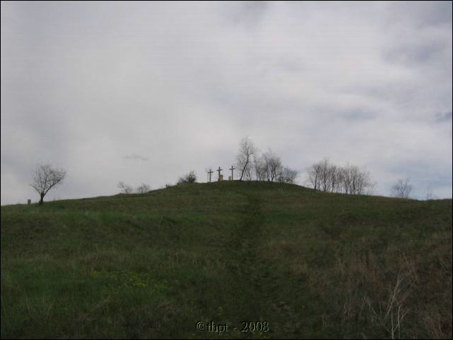 kerepesi_08_01.jpg