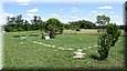 bog_09_03.jpg