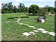 bog_09_05.jpg