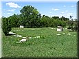 bog_09_06.jpg