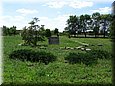 bog_09_08.jpg