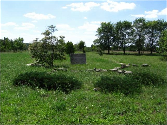 bog_09_08.jpg