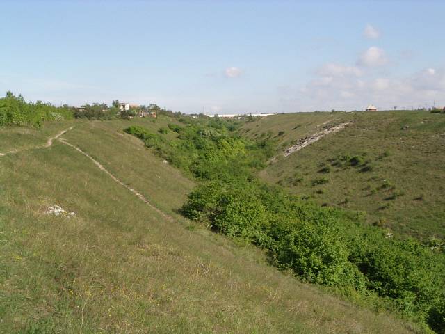 et1602.jpg
