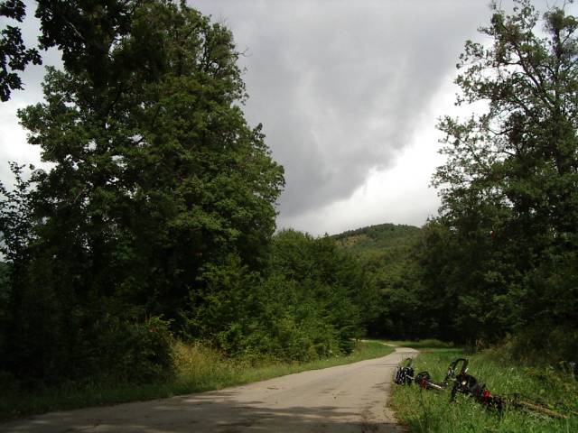 baranya126.jpg