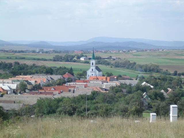 et2631.jpg