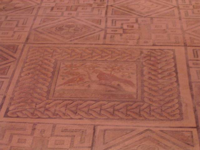 et2634.jpg