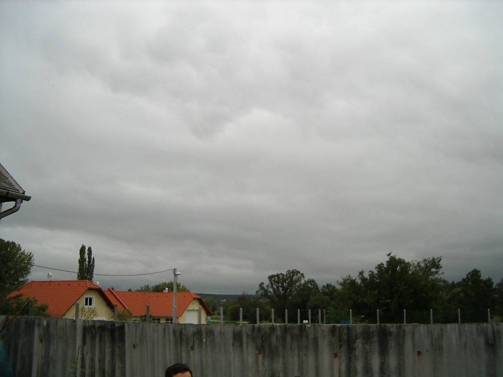 moha200503.jpg