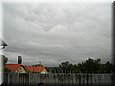 moha200503.jpg