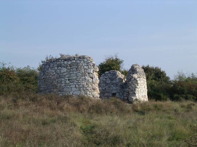 et3103.jpg