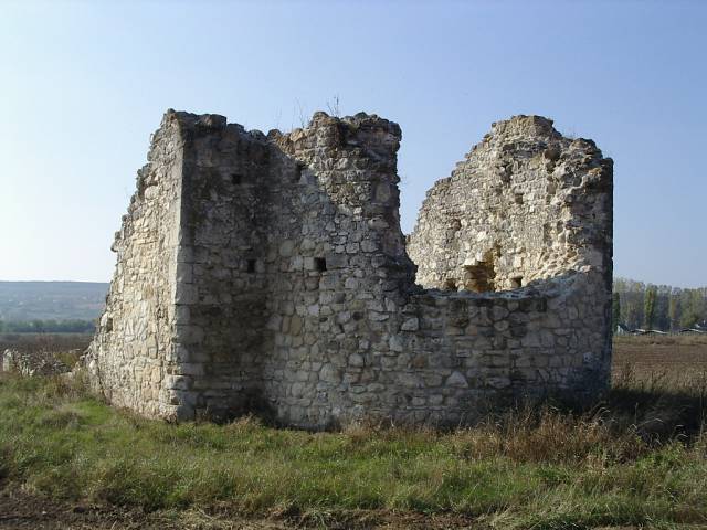 et3307.jpg