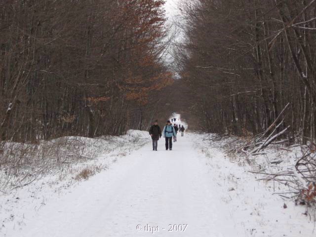 egt0414.jpg