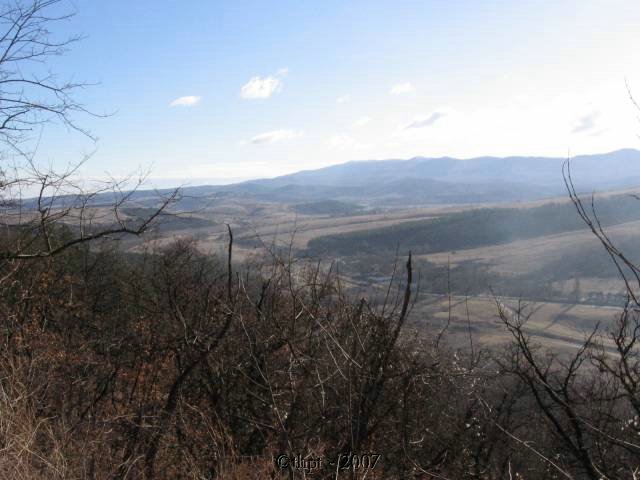 egt0513.jpg