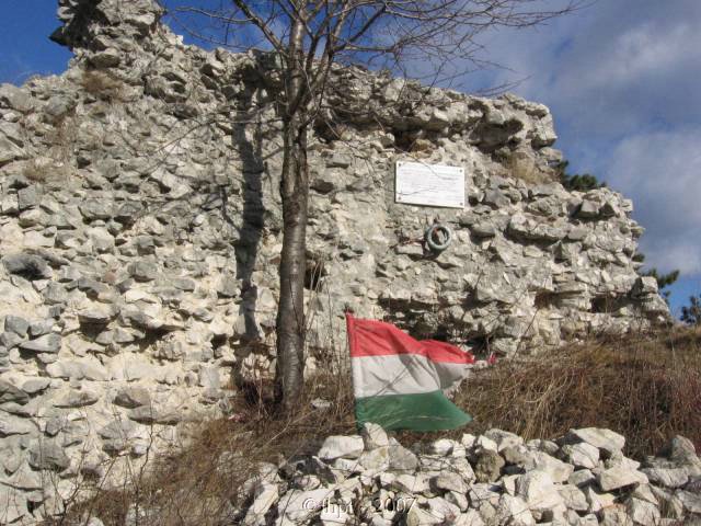 egt0538.jpg