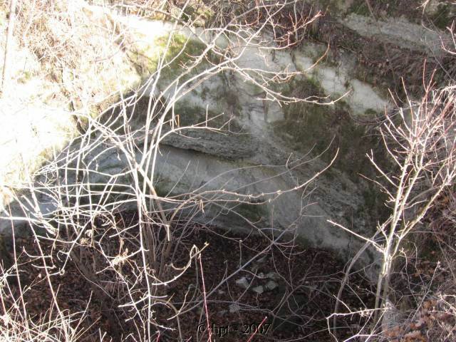 egt0539.jpg
