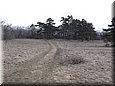 egt0809.jpg