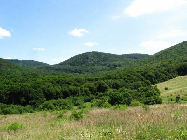kt0809.jpg