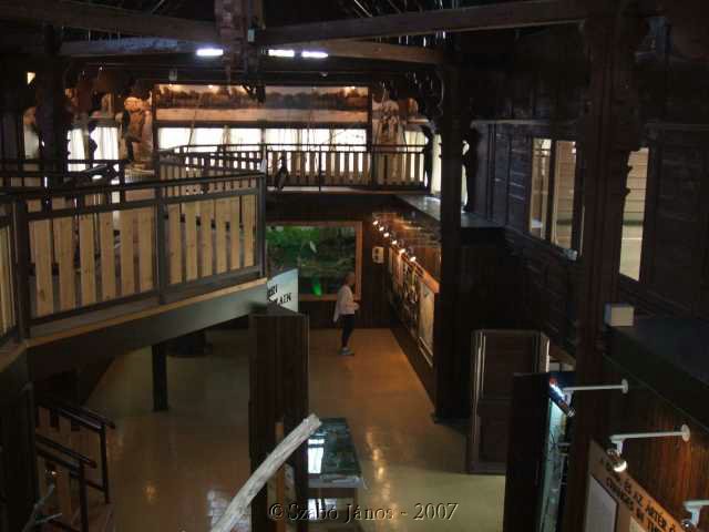 kt09089_szj.jpg