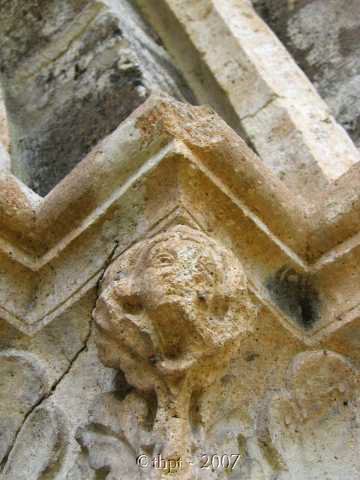 et0973.jpg