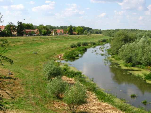 et0983.jpg