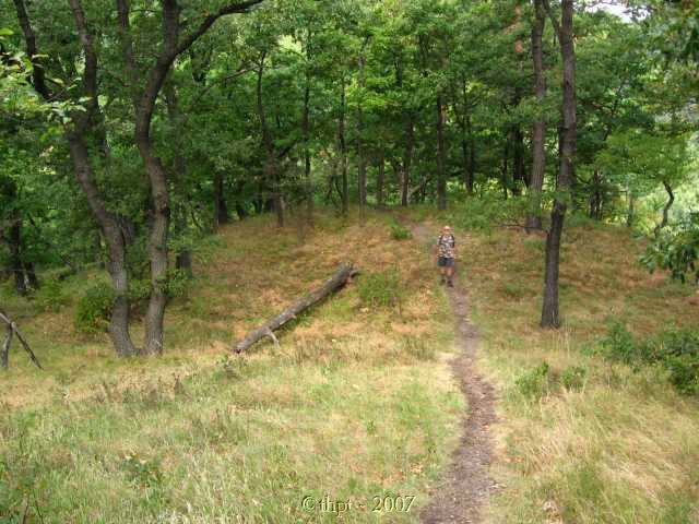 egt2005.jpg