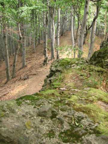 egt2012.jpg