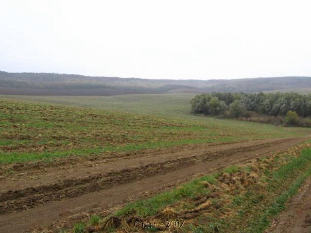 egt2311.jpg