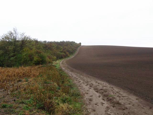 egt2312.jpg