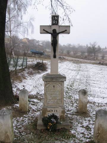 egt3123.jpg