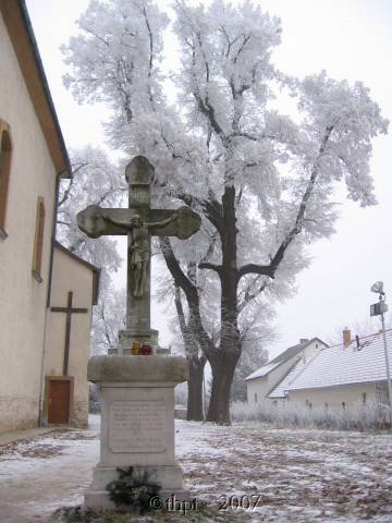 egt3137.jpg