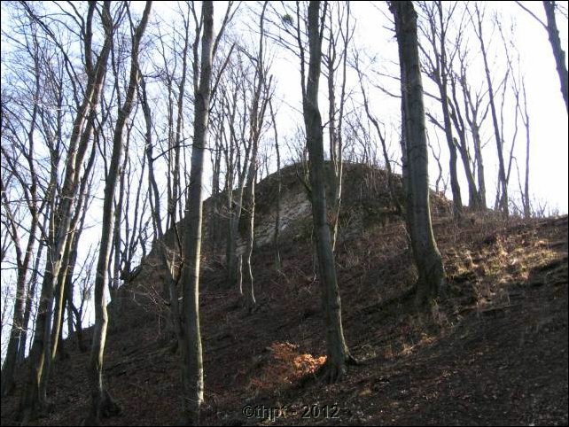 et0507.jpg