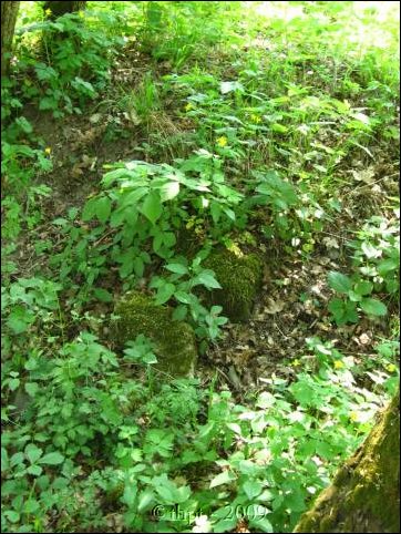palos_09_08.jpg