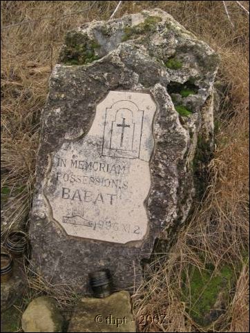 babat_07_02.jpg