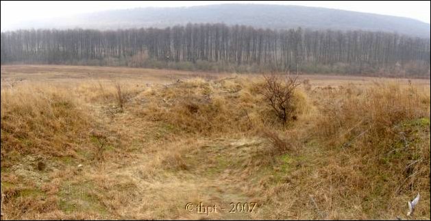 babat_07_03.jpg