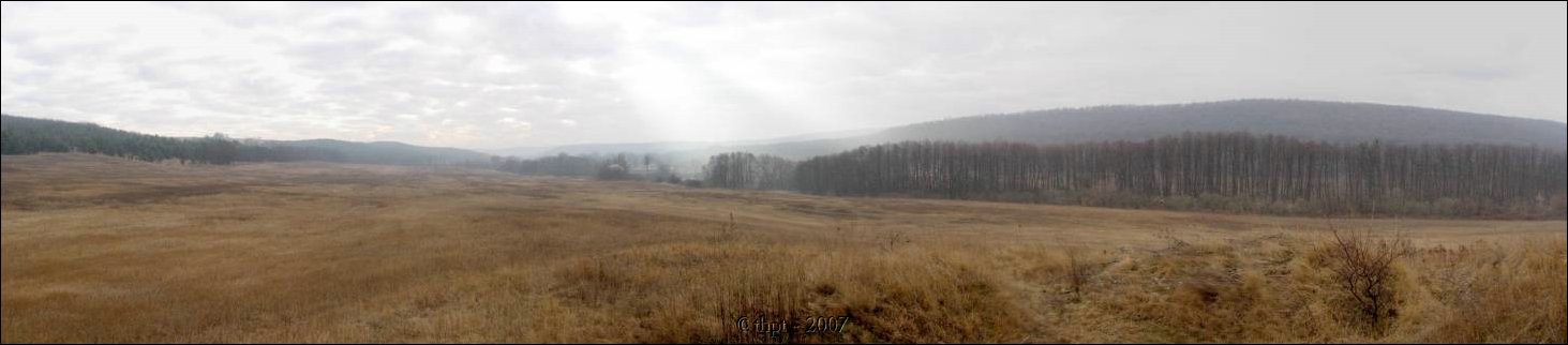 babat_07_04.jpg