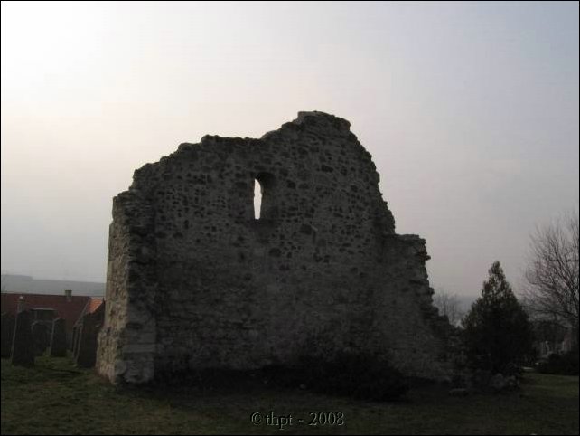 biatorbagy_08_12.jpg