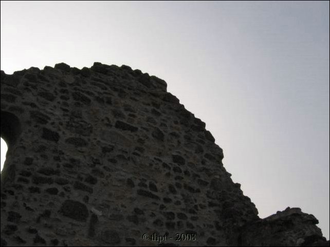 biatorbagy_08_17.jpg