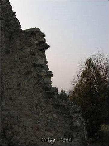 biatorbagy_08_18.jpg