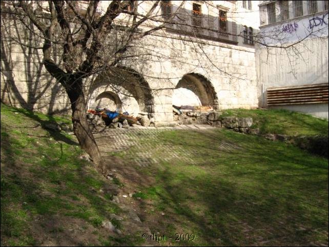 logod_09_03.jpg