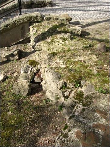 logod_09_11.jpg