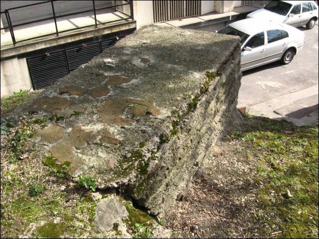 logod_09_13.jpg