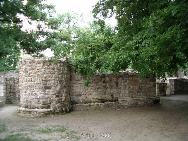 margit_04_03.jpg