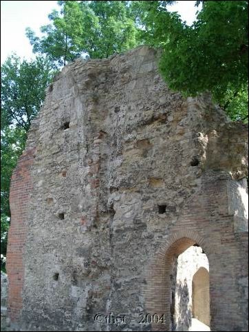 margit_04_08.jpg