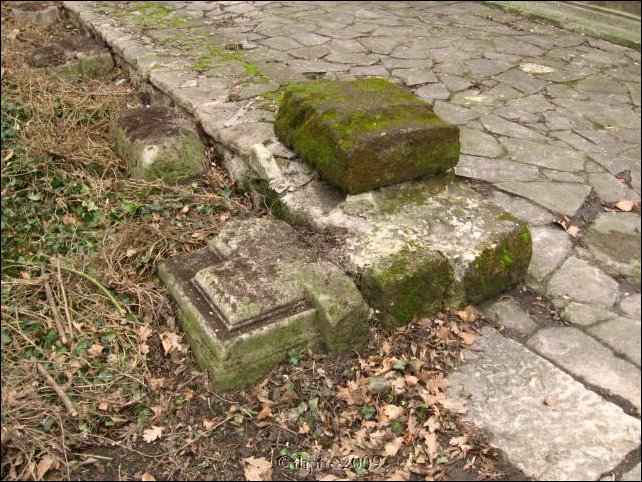 premontrei_09_23.jpg